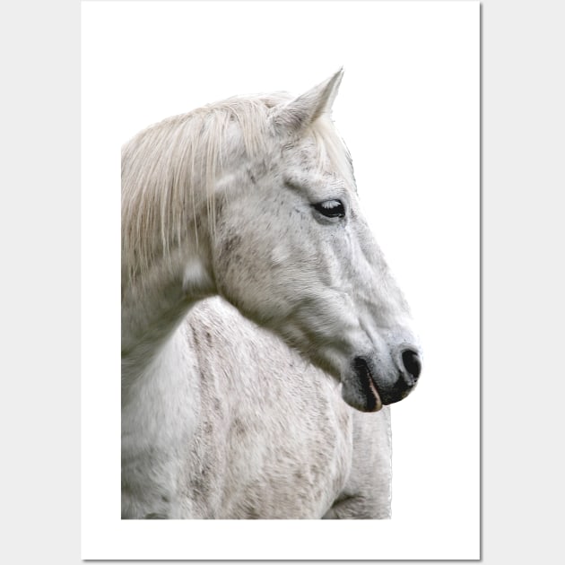 photo horse max Wall Art by mystudiocreate